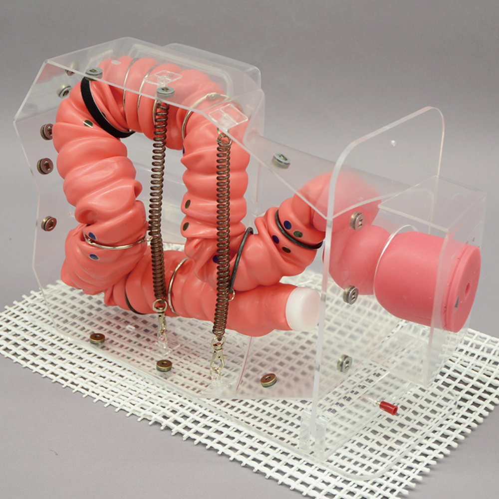 MW24 3D Colonoscope Training Simulator NKS - MediScientific