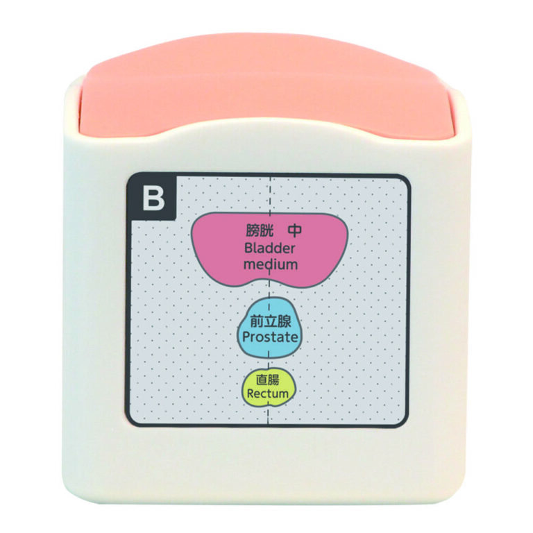 US-23 Rectal and Bladder Ultrasound Phantom - MediScientific