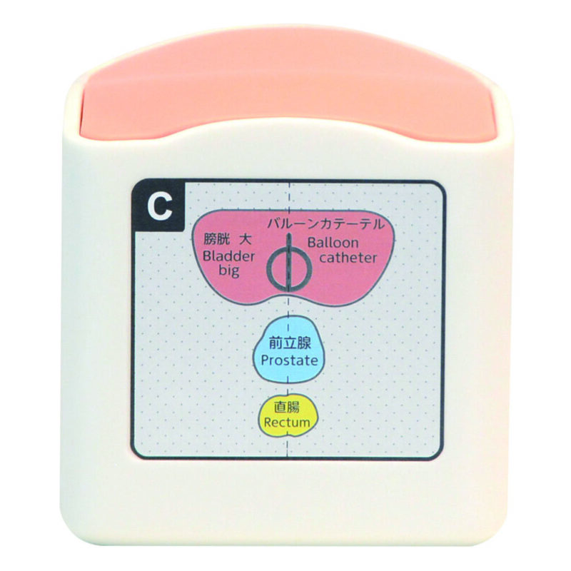 US-23 Rectal and Bladder Ultrasound Phantom - MediScientific